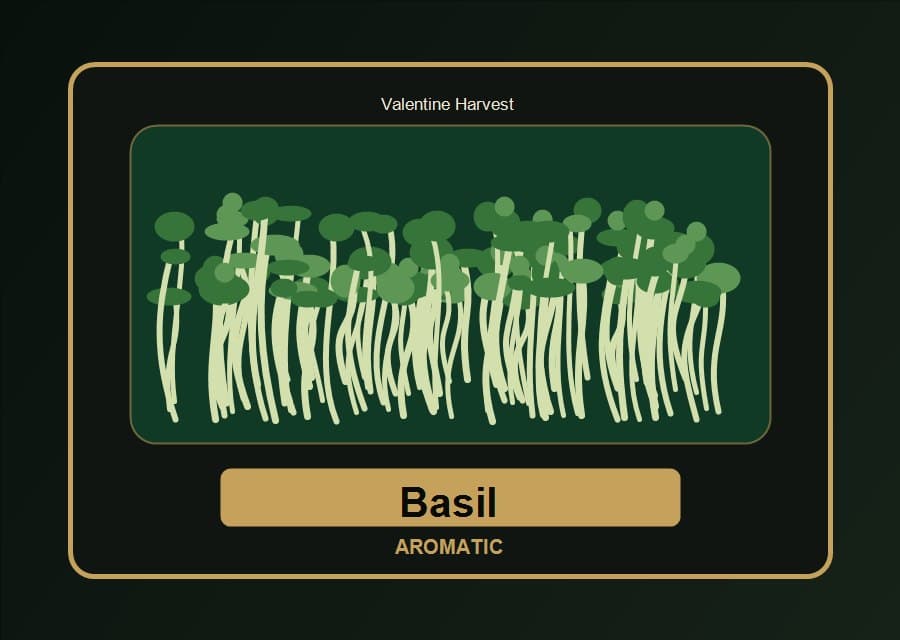 Basil Microgreens visual product card