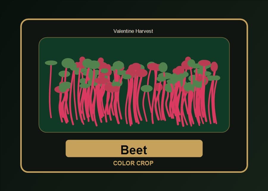 Beet Microgreens visual product card