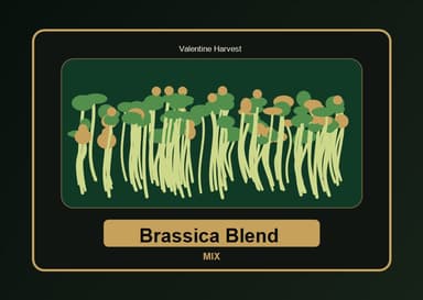 Brassica Chef Blend product visual