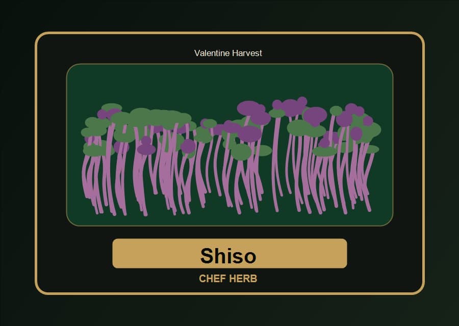 Shiso Microgreens visual product card