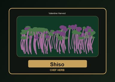 Shiso Microgreens product visual